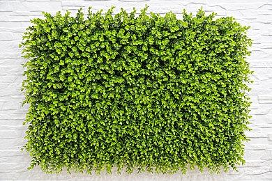 大战略游戏《地球不屈》上架Steam 支持中文